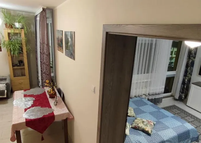 Apartament Torun Starowka - Ducha